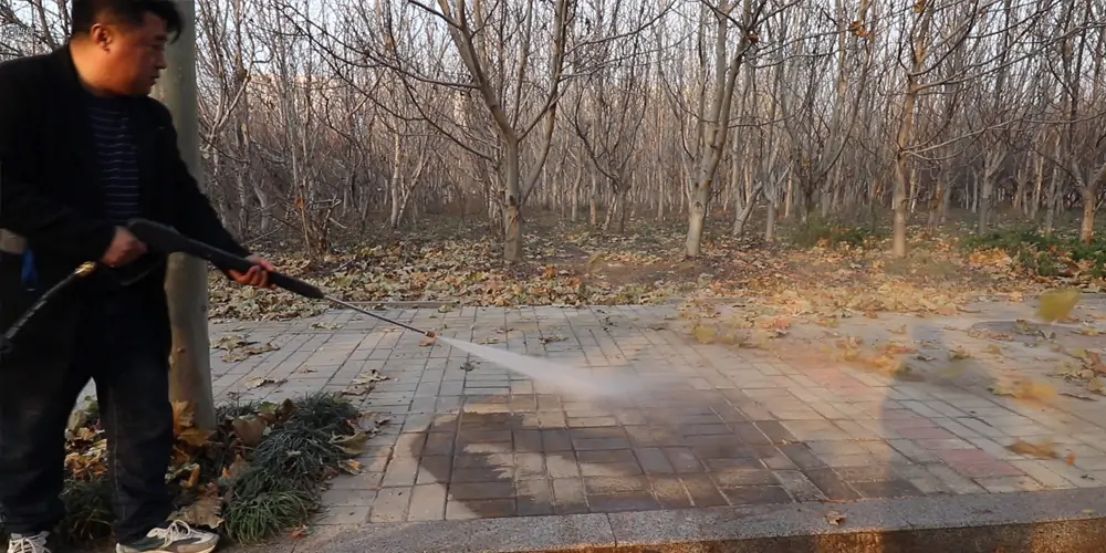 1756358778974694.jpg 03_看圖王.jpg